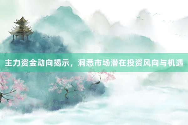 主力资金动向揭示，洞悉市场潜在投资风向与机遇