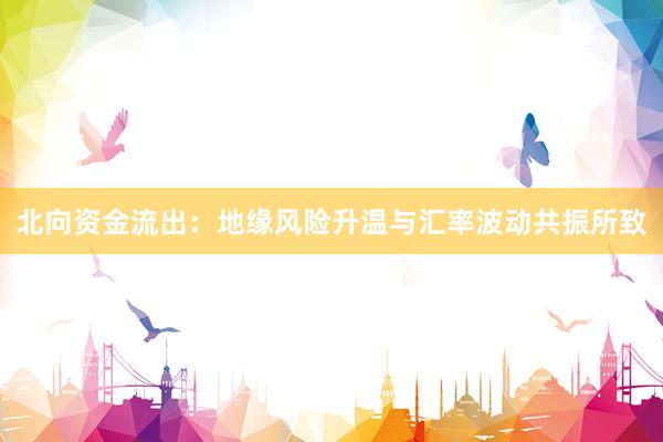 北向资金流出：地缘风险升温与汇率波动共振所致