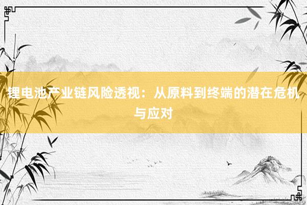 锂电池产业链风险透视:从原料到终端的潜在危机与应对