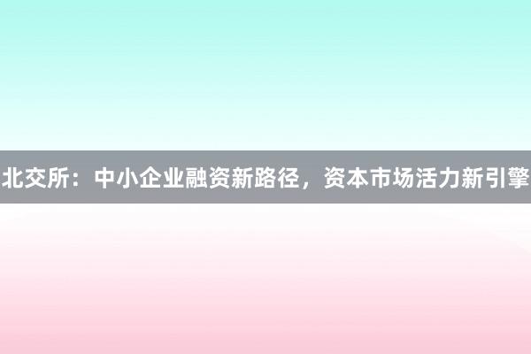 北交所：中小企业融资新路径，资本市场活力新引擎