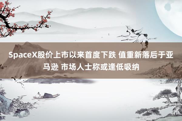 SpaceX股价上市以来首度下跌 值重新落后于亚马逊 市场人士称或逢低吸纳