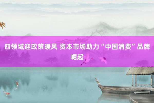 四领域迎政策暖风 资本市场助力“中国消费”品牌崛起
