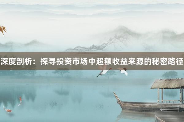 深度剖析：探寻投资市场中超额收益来源的秘密路径