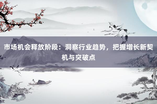 市场机会释放阶段：洞察行业趋势，把握增长新契机与突破点