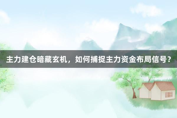 主力建仓暗藏玄机,如何捕捉主力资金布局信号?