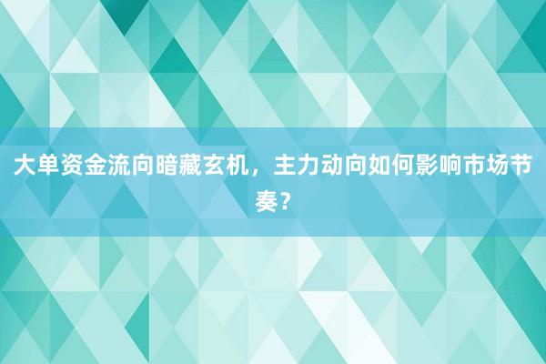 大单资金流向暗藏玄机，主力动向如何影响市场节奏？