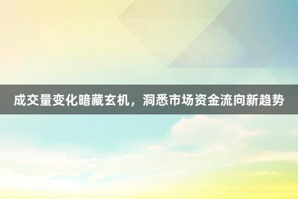 成交量变化暗藏玄机，洞悉市场资金流向新趋势