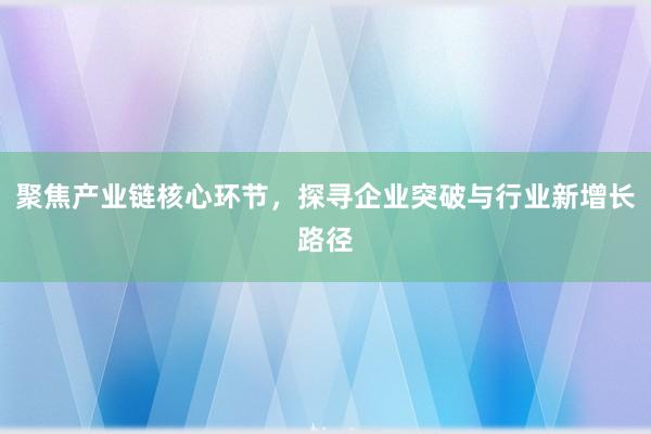 聚焦产业链核心环节，探寻企业突破与行业新增长路径