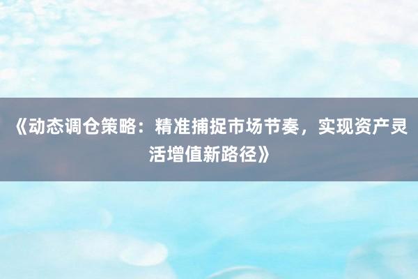 《动态调仓策略：精准捕捉市场节奏，实现资产灵活增值新路径》