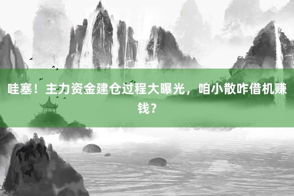 哇塞！主力资金建仓过程大曝光，咱小散咋借机赚钱？