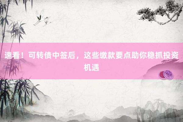 速看!可转债中签后,这些缴款要点助你稳抓投资机遇