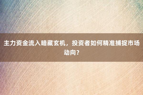 主力资金流入暗藏玄机,投资者如何精准捕捉市场动向?