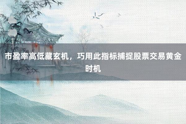市盈率高低藏玄机,巧用此指标捕捉股票交易黄金时机