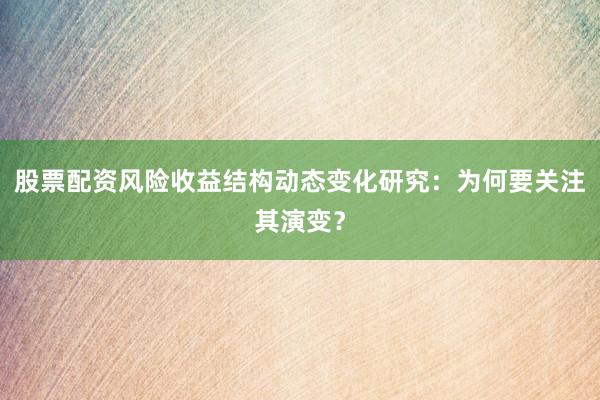 股票配资风险收益结构动态变化研究：为何要关注其演变？