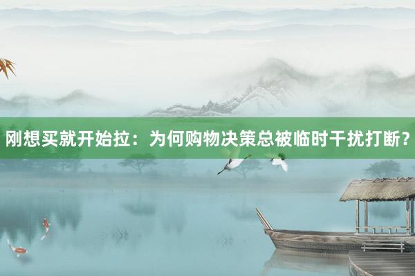 刚想买就开始拉：为何购物决策总被临时干扰打断？