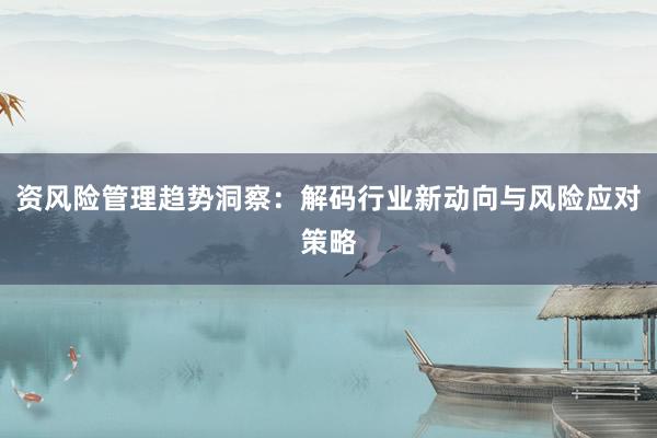 资风险管理趋势洞察：解码行业新动向与风险应对策略